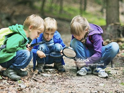A la rencontre des petites bêtes