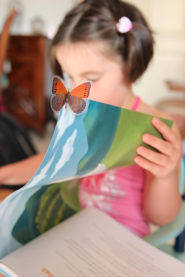 Contes et histoires - Image 1